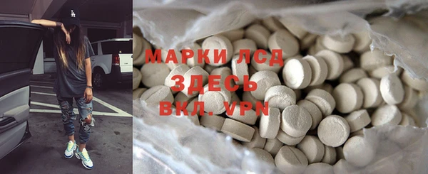 гидра Вязьма