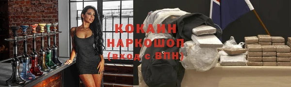 гидра Вязьма