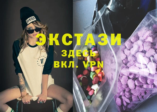 гидра Вязьма
