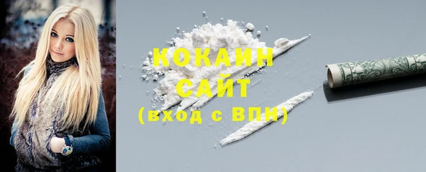 гидра Вязьма