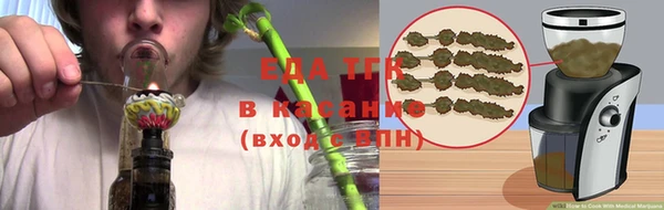 гидра Вязьма