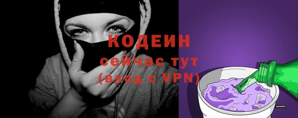 МДПВ Вяземский