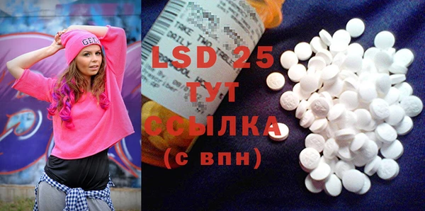 гидра Вязьма