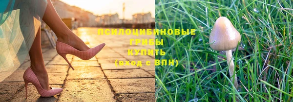 МДПВ Вяземский