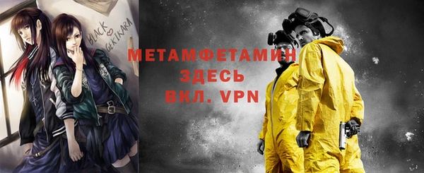 гидра Вязьма