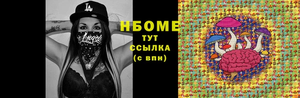 МДПВ Вяземский