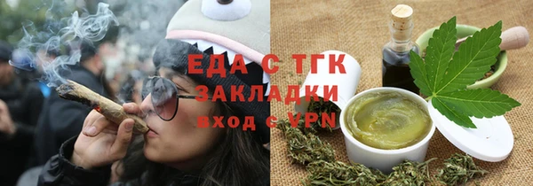 гидра Вязьма